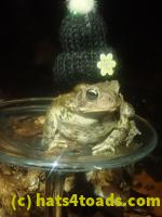 /home//u458753944/public_html/sourcegallery//McKaig Nature Center/2024-09-29/P9291590.JPG